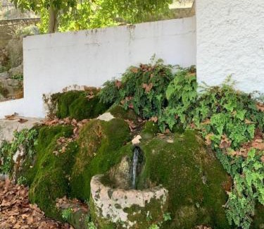 Cuevas del Becerro House | Villa Remedios