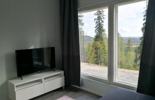 Syote House | Villa Repolainen