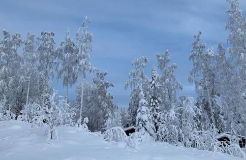 Muurame Villa | VILLA RIIHITONTTU MUURAME RIIHIVUORI