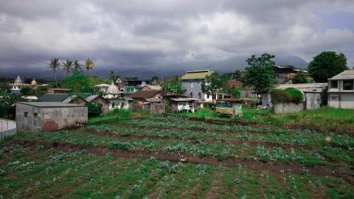 Sidomulyo Villa | Villa Safari Syariah with Mountain View