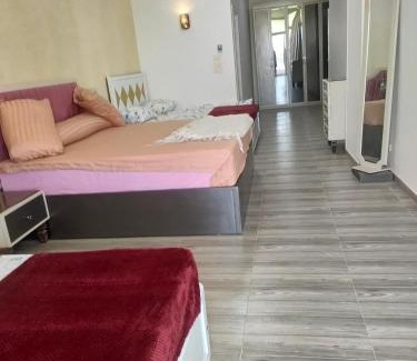 Aswan House | Villa Samy
