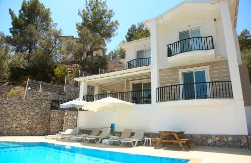Ortaca Villa | Villa Sarisli 1