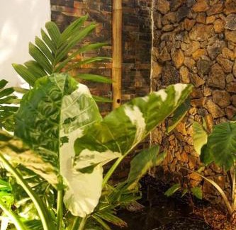 Montvert-les Bas House | Villa Savio