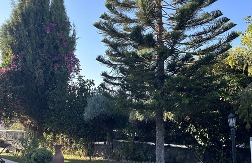Dogankoy Villa | VILLA SCOBLE with private pool in Bellapais Village.