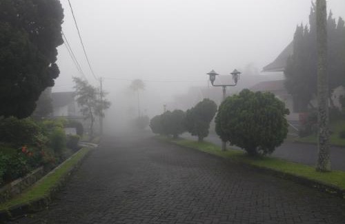 Cipanas Villa | Villa Segar Alam Puncak