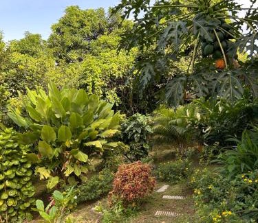 Gros-Morne House | Villa Selma Martinique