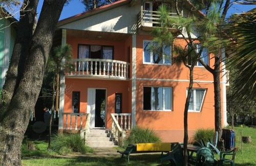 Shekhvetili Villa | Villa Shekvetili