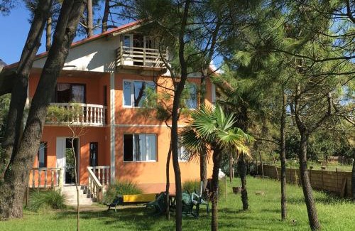 Shekhvetili Villa | Villa Shekvetili
