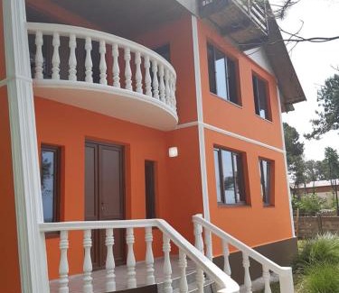 Shekhvetili Villa | Villa Shekvetili