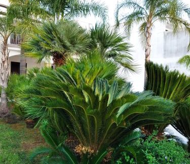 Lecce Apartment | Villa Silvana