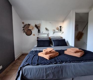 Le Thoronet Bed & Breakfast | Villa Sisyphe chambre"la jeanette"