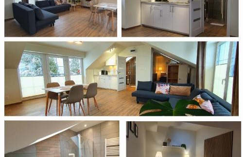 Kudowa Zdroj Apartment | Villa Sjesta