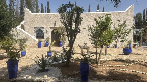 Ida Ougourd Villa | Villa Sous les Alizees