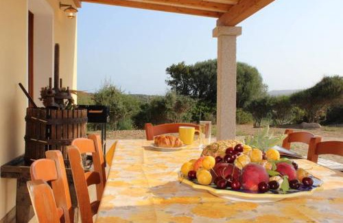 Santa Teresa di Gallura Villa | Villa Stazzo Dell'Antica Trebbia