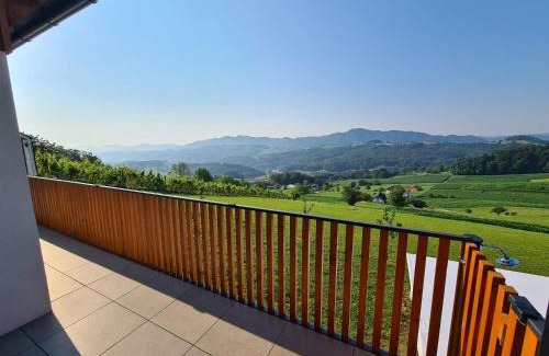 Smarje pri Jelsah House | Villa Strtenica in the vineyard