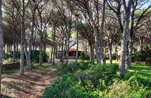 Matta 'e Peru House | VILLA SULLA SPIAGGIA