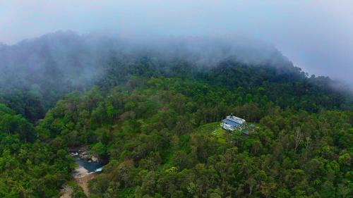 Vayittiri House | Villa Tesori Homestay Wayanad