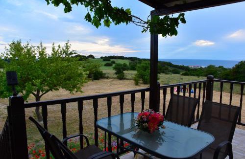Kamariotissa Villa | Villa Thanos