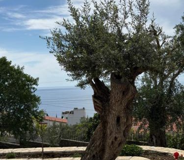 Dhermi House | Villa Thomas