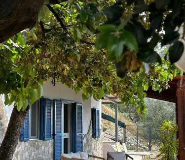 Mattinata Villa | Villa Torre di Lupo- Manfredi Homes&Villas