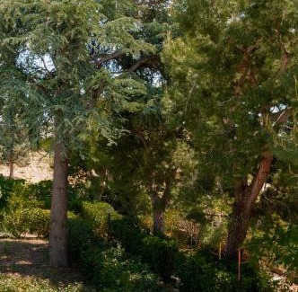 Castellana Grotte Apartment | Villa Tra i Pini - Green & Relax