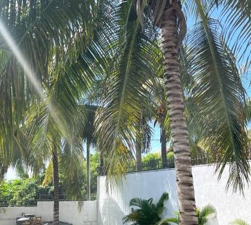 Pereybere Villa | Villa Trois Cocos