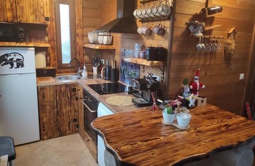 Cabar Villa | Villa Ursus