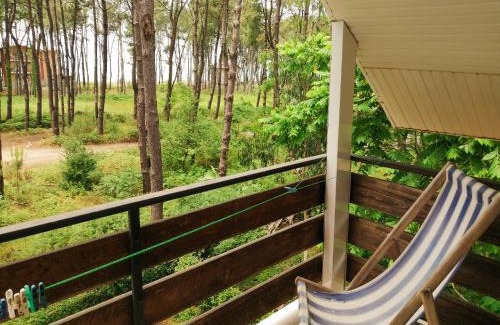 Shekhvetili House | Villa Vachnadze