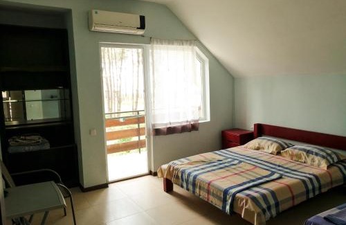 Shekhvetili House | Villa Vachnadze
