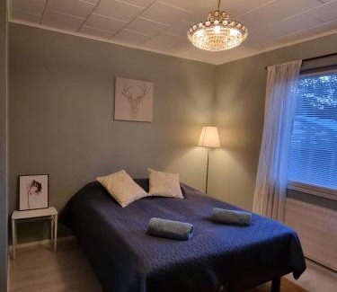 Mikkeli Apartment | Villa Vapaus
