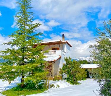 Dirfys-Messapia Villa | Villa Vasiliki