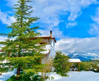 Dirfys-Messapia Villa | Villa Vasiliki
