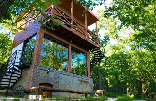 Mtskheta Apartment | Villa Vejini cabin