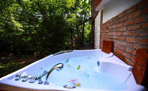 Mtskheta Apartment | Villa Vejini cabin