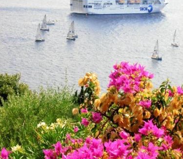 Vetricella Bed & Breakfast | Villa Vetricella Corse Sud