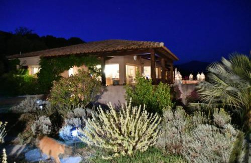 Vetricella Bed & Breakfast | Villa Vetricella Corse Sud
