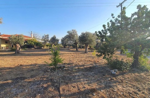 Kampos Marathokampou Villa | Villa Votsalakia