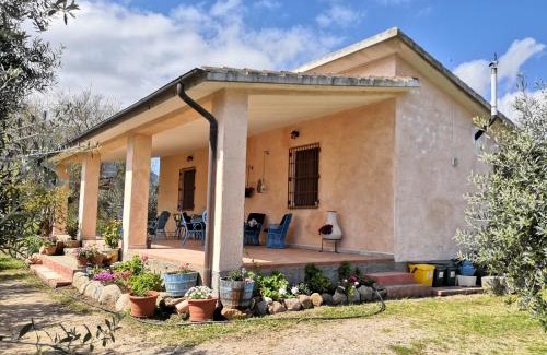 Oliena House | Villa Walter