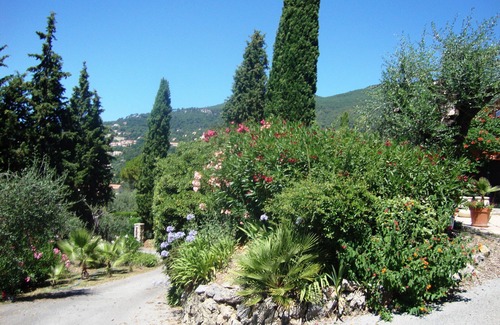 Grasse Villa | Villa with pool in a relaxing and green oasis, in Grasse