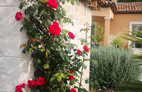 Gareoult Villa | Villa with swimming pool and SPA in Provence just 35 minutes from the beaches