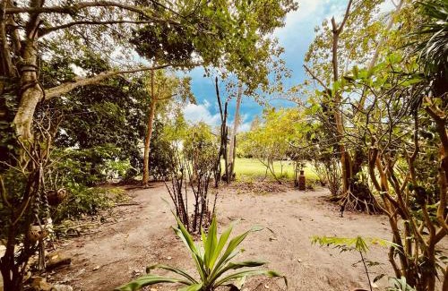Ko Pha-ngan Resort | Villa Wonderworld Resort