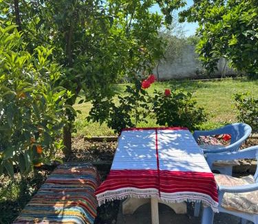 Sakës Bed & Breakfast | Villa Zefi Rrenc