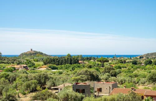 Chia Villa | Villachiadream