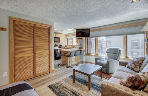 Peak 9 Condo | Village at Breckenridge Studio 4417 - Ski-In/Ski-Out!