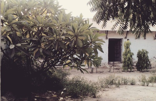 Rohet Other | Village Castle stay amidst Desert