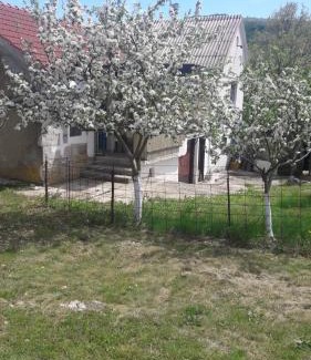 Canton 10 House | Village House Rošnjače