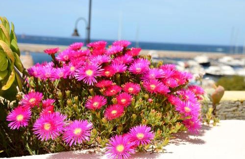 Portoscuso Bed & Breakfast | Villarolu