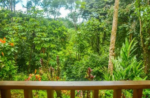 Playa Tortuga Villa | Villas en el Bosque