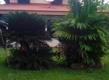 Canton Parrita House | Villas Guapinol