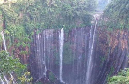 Klojen Bed & Breakfast | villas in batu indonesia homestay